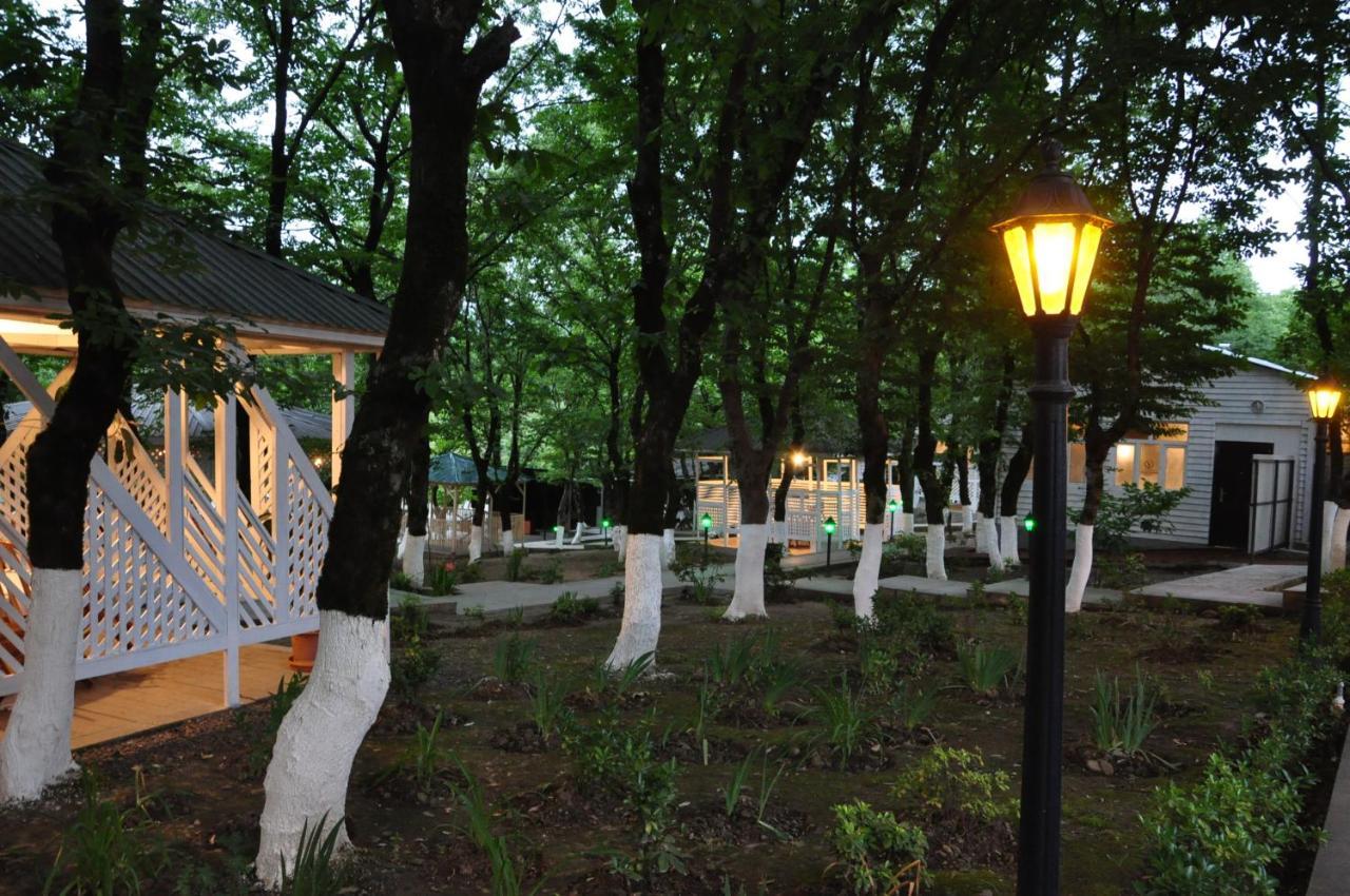 Vilesh Palace Hotel Masallı 외부 사진