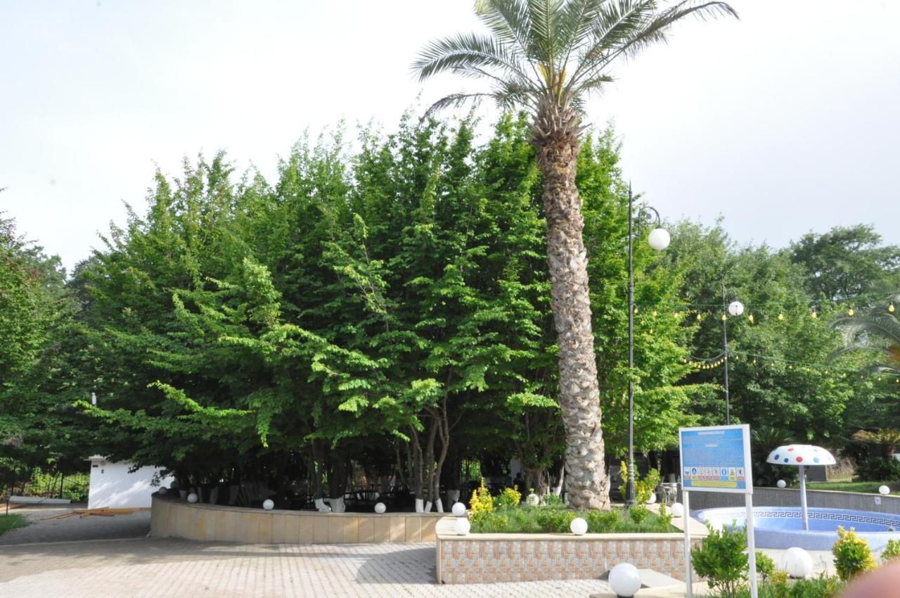 Vilesh Palace Hotel Masallı 외부 사진