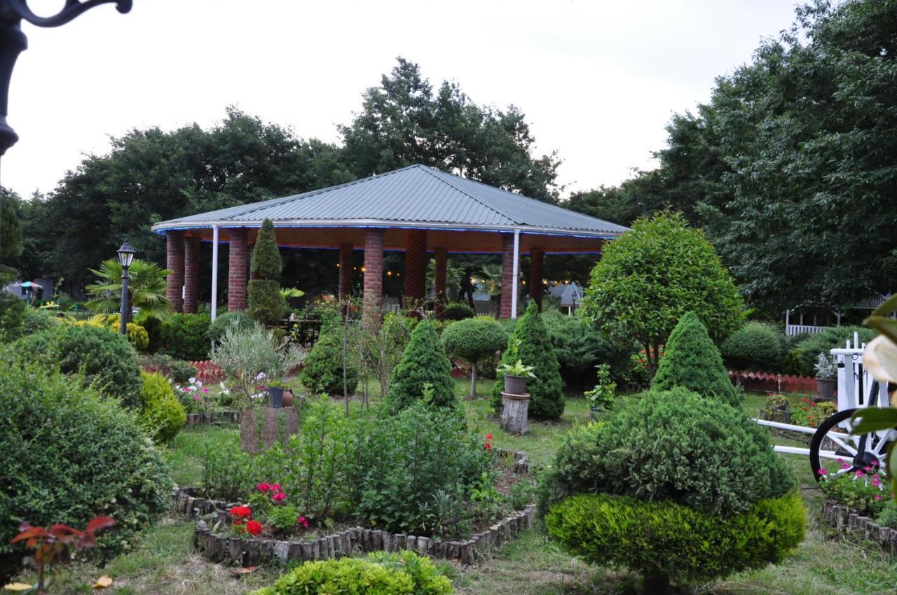 Vilesh Palace Hotel Masallı 외부 사진